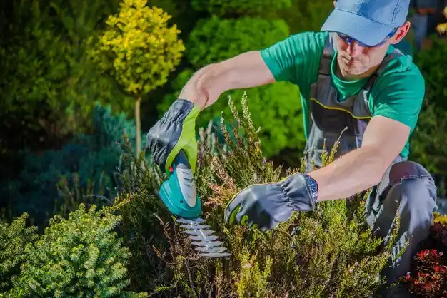 landscaping services Carroll